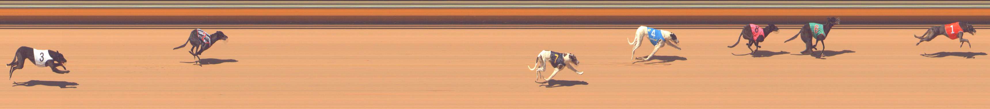 Photo finish for Bendigo Race 4