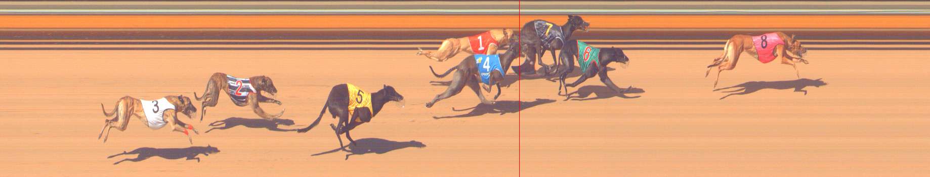 Photo finish for Bendigo Race 5