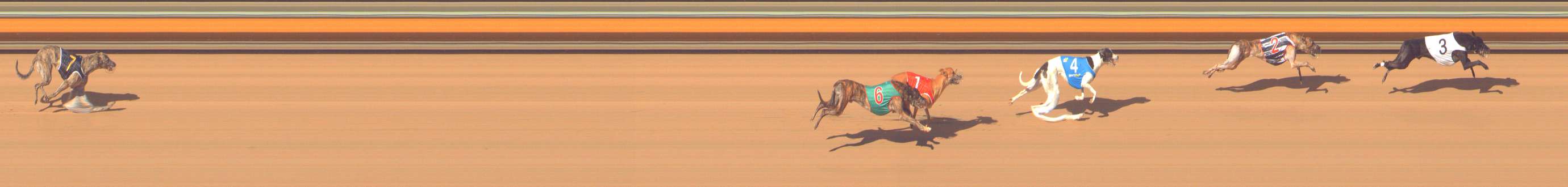 Photo finish for Bendigo Race 7