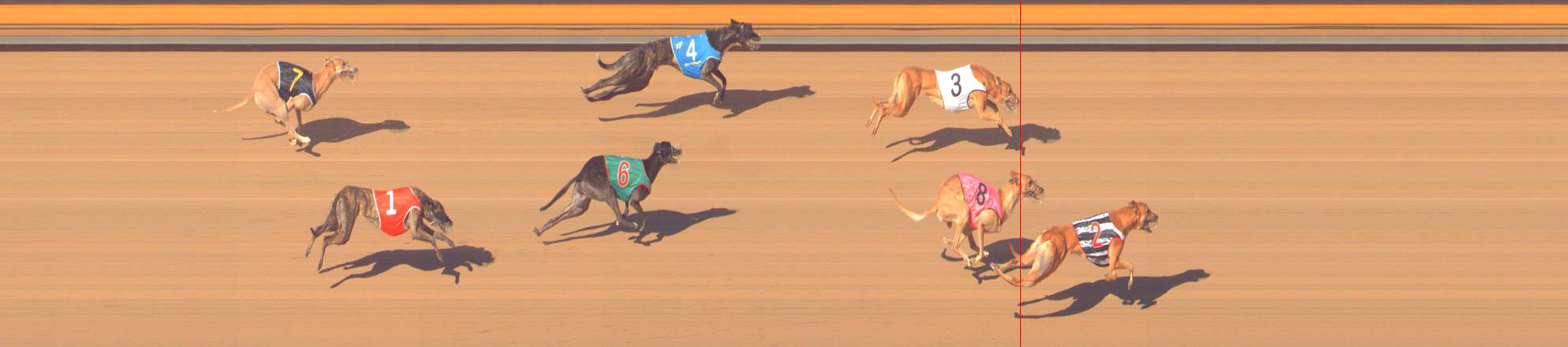 Photo finish for Bendigo Race 8