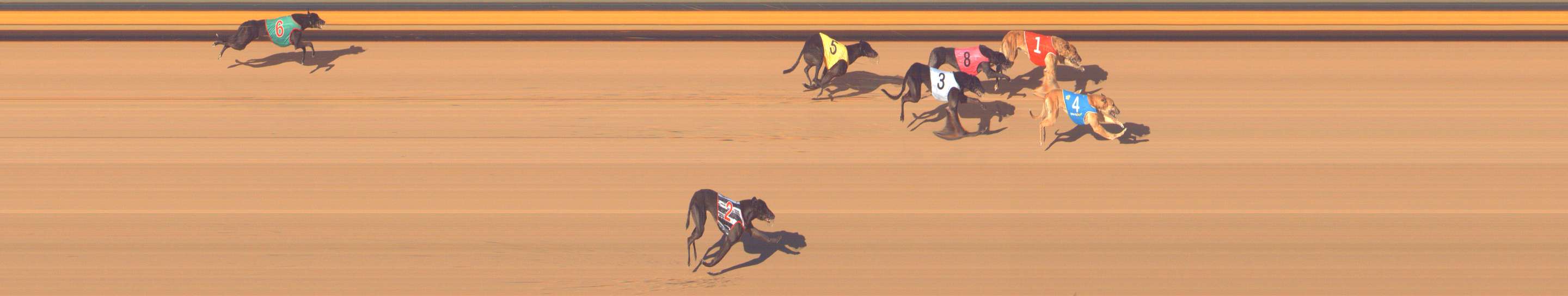 Photo finish for Bendigo Race 9