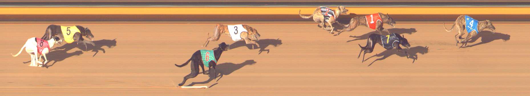 Photo finish for Bendigo Race 10