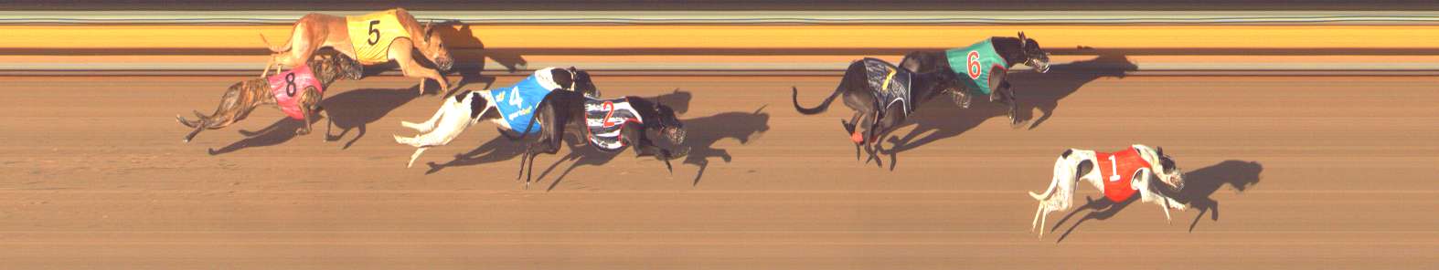 Photo finish for Bendigo Race 12