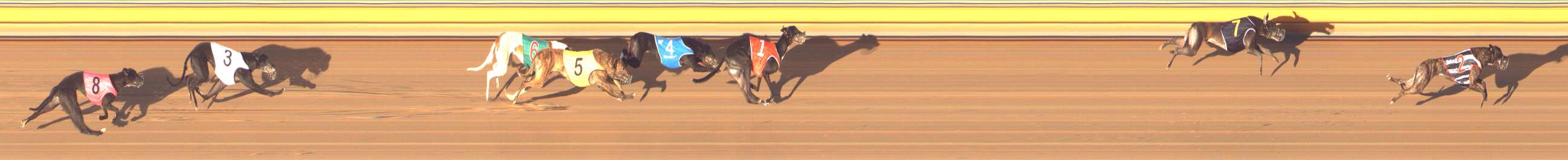 Photo finish for Bendigo Race 13