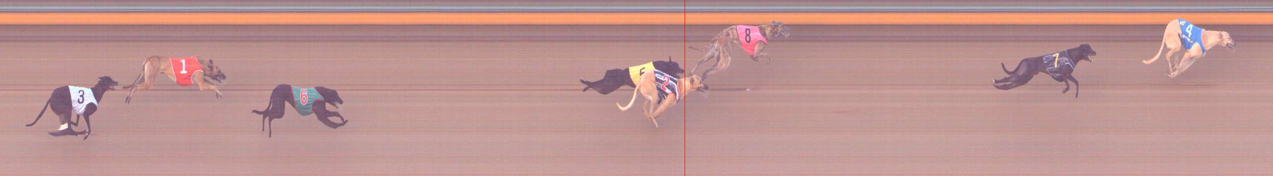 Photo finish for Bendigo Race 2