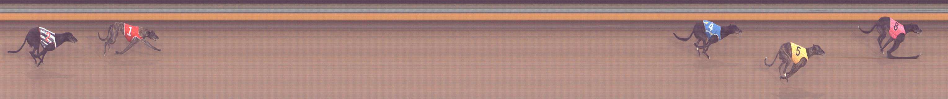 Photo finish for Bendigo Race 4