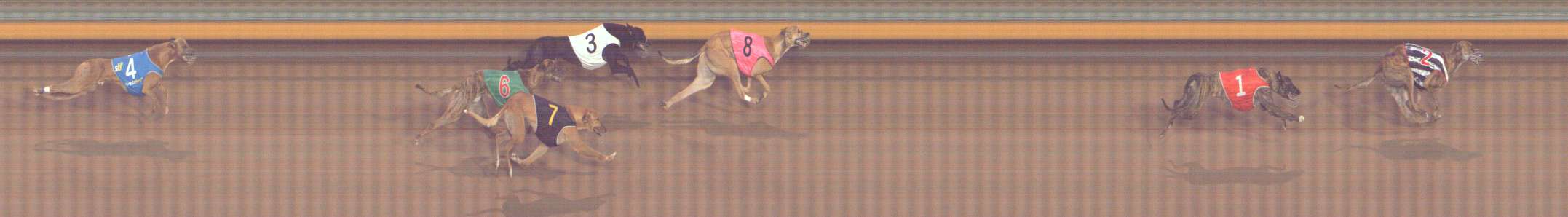 Photo finish for Bendigo Race 5