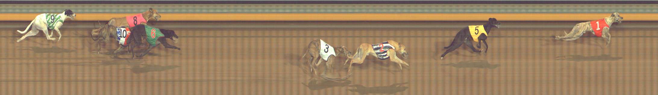 Photo finish for Bendigo Race 7