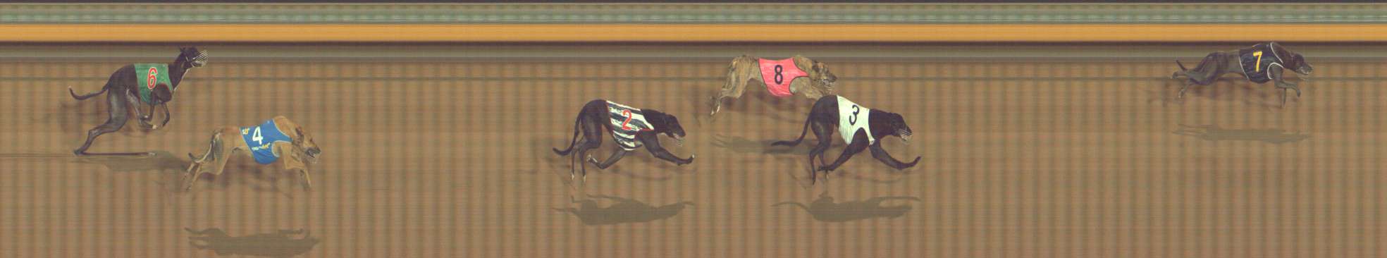 Race result finish photo