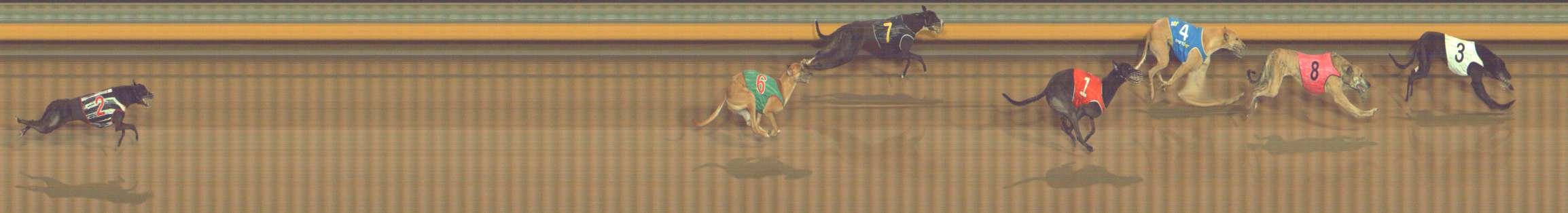 Photo finish for Bendigo Race 10