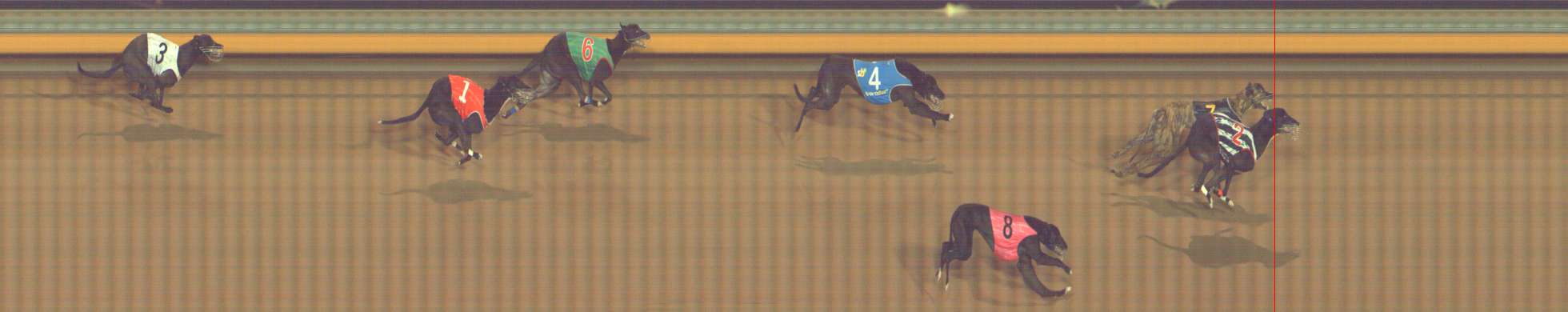 Race result finish photo