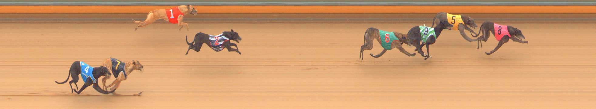 Race result finish photo