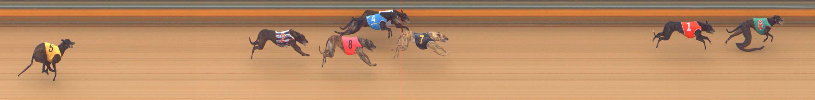 Photo finish for Bendigo Race 2