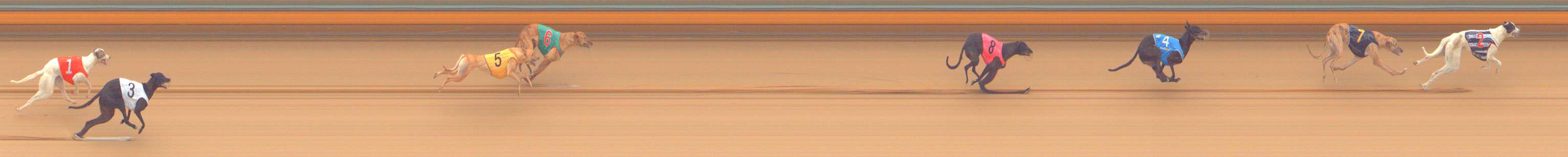 Photo finish for Bendigo Race 4