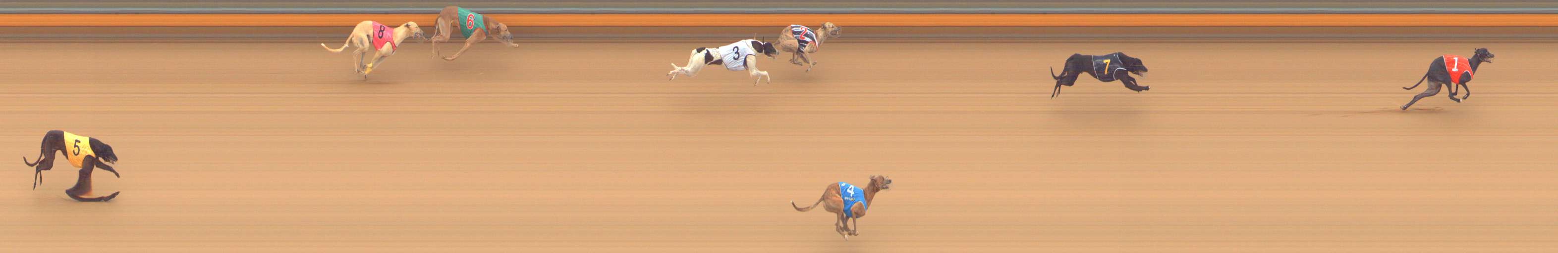 Photo finish for Bendigo Race 5