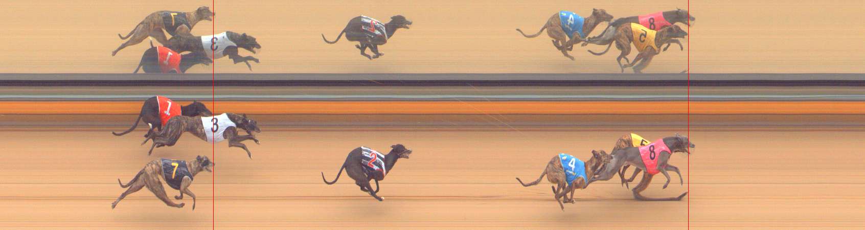Photo finish for Bendigo Race 6