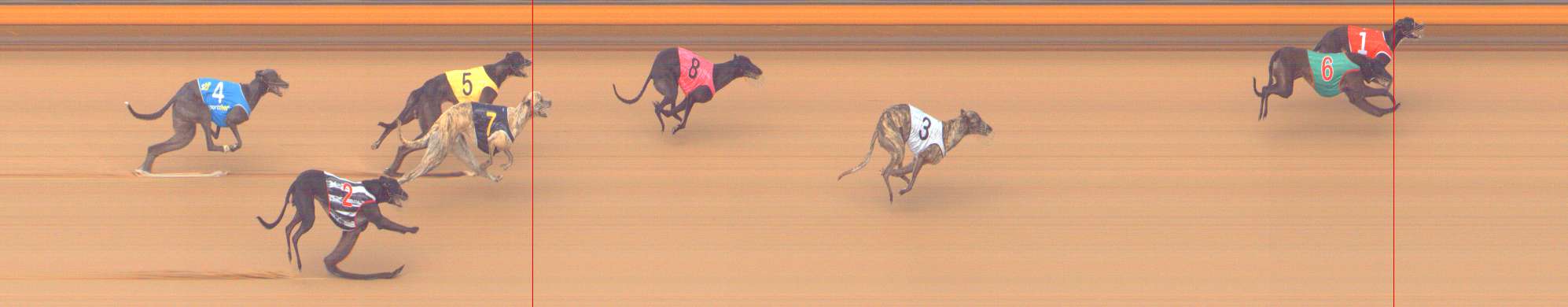 Photo finish for Bendigo Race 8