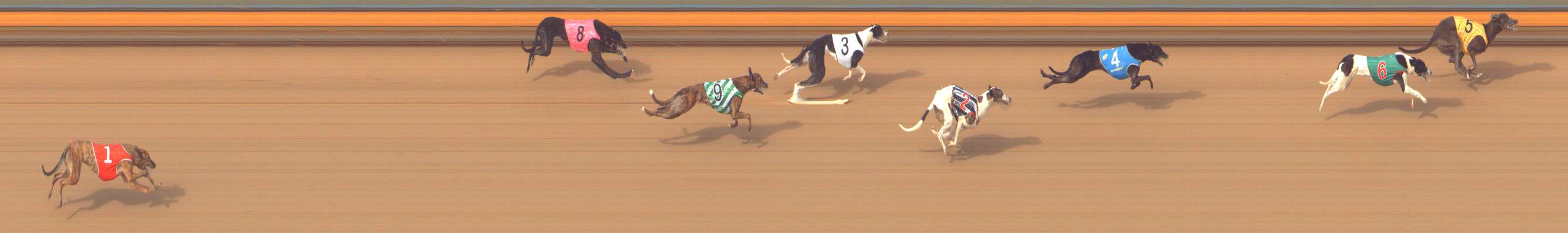 Photo finish for Bendigo Race 9