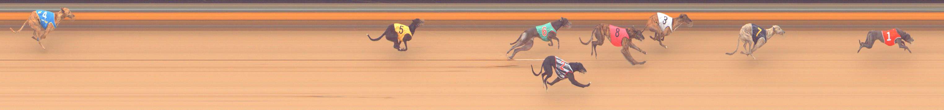 Photo finish for Bendigo Race 10