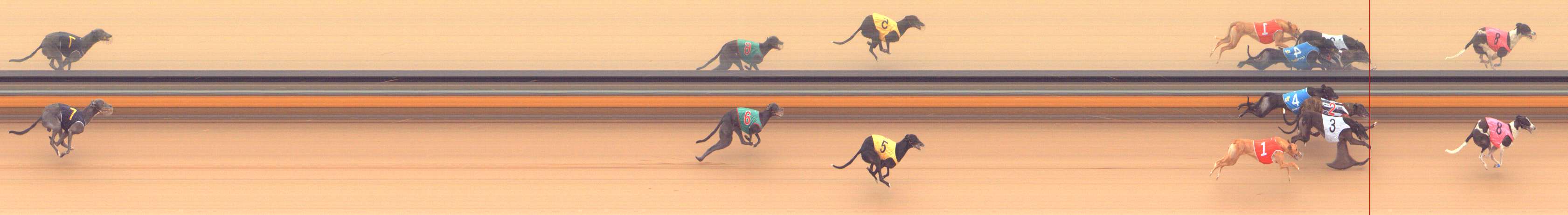Photo finish for Bendigo Race 11