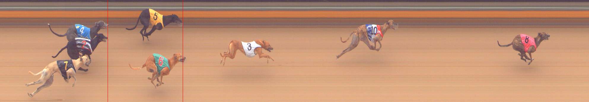 Photo finish for Bendigo Race 12