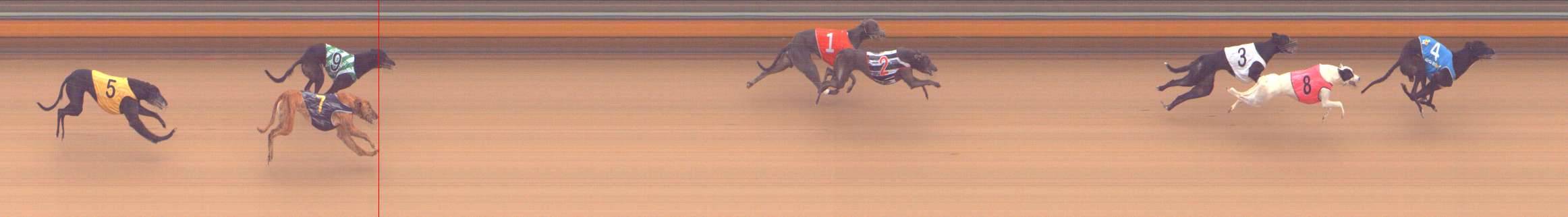 Photo finish for Bendigo Race 13