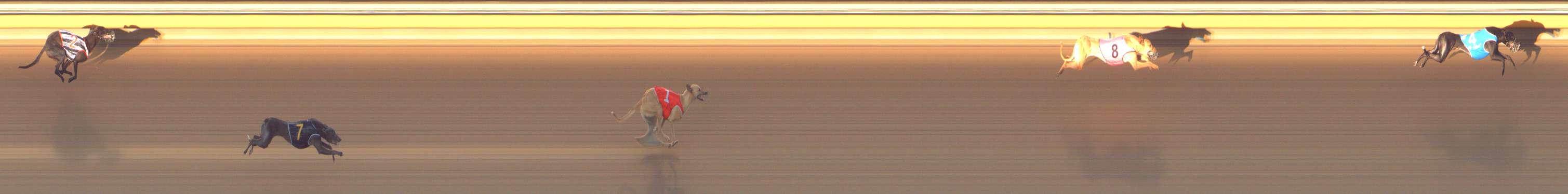 Race result finish photo