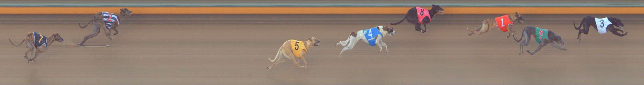 Photo finish for Bendigo Race 2