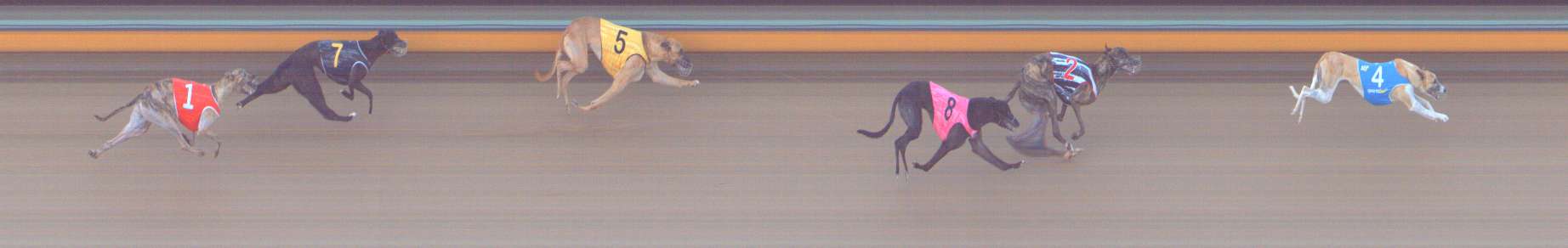 Photo finish for Bendigo Race 3