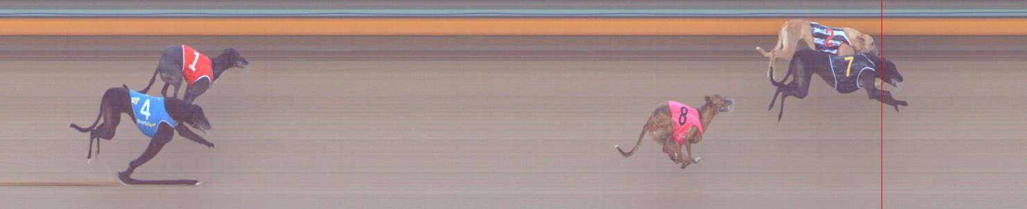 Photo finish for Bendigo Race 4