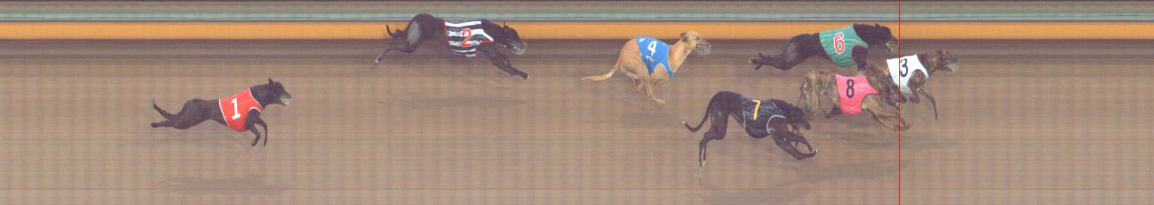 Photo finish for Bendigo Race 5