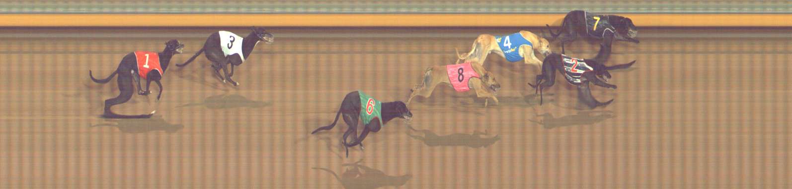 Photo finish for Bendigo Race 7