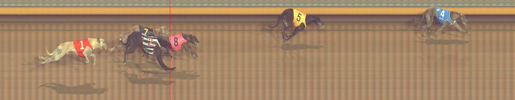 Photo finish for Bendigo Race 9