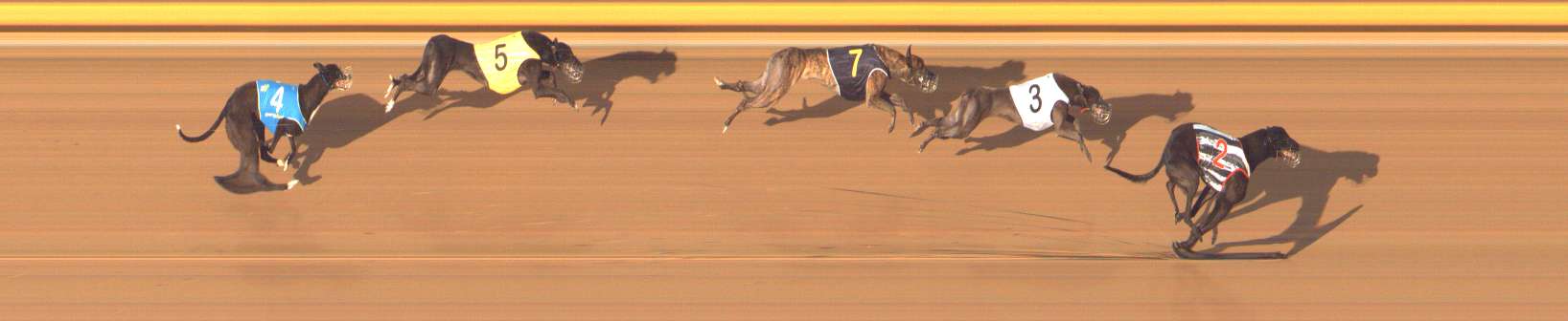 Photo finish for Bendigo Race 2