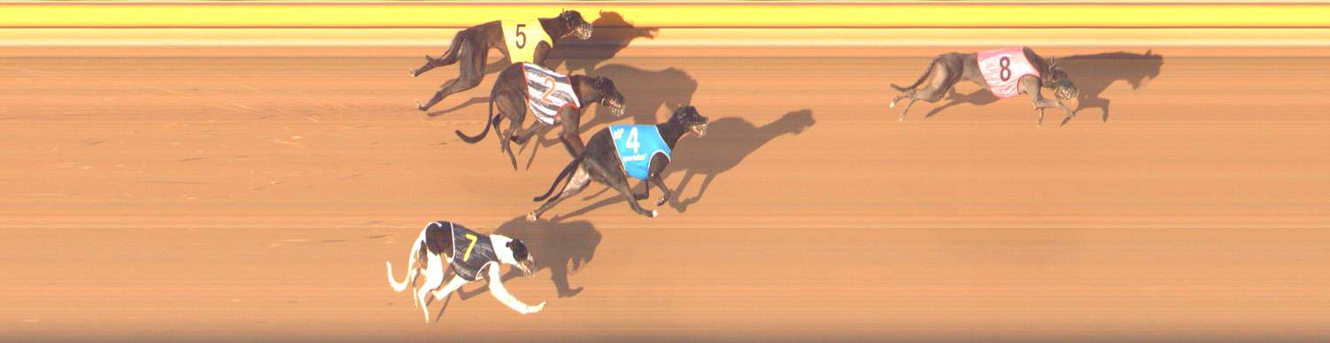 Photo finish for Bendigo Race 3