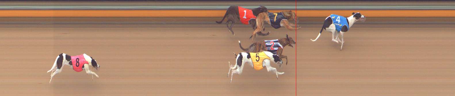 Photo finish for Bendigo Race 4
