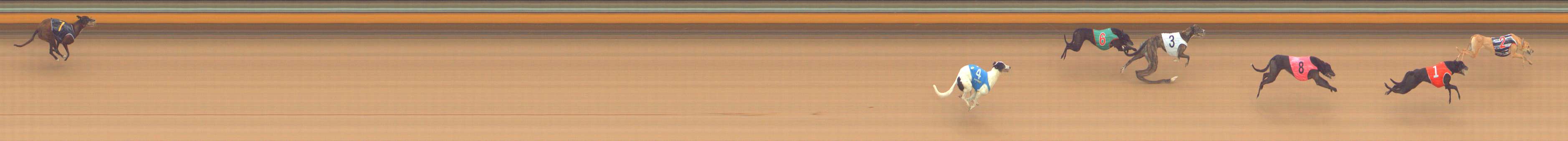 Photo finish for Bendigo Race 5