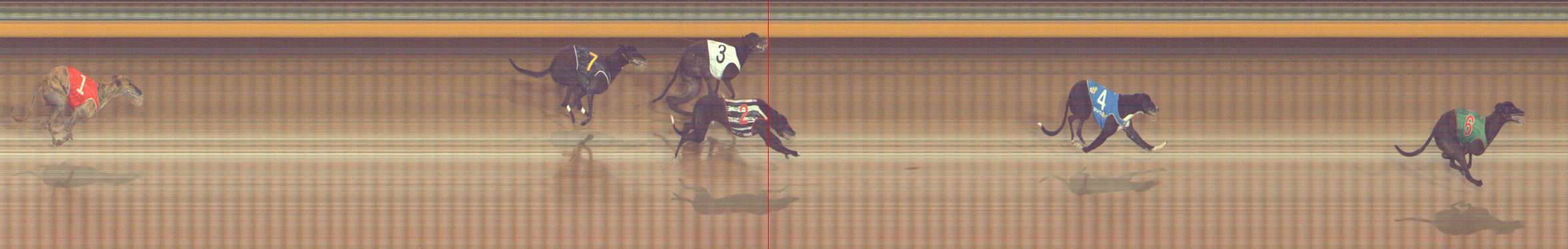 Race result finish photo