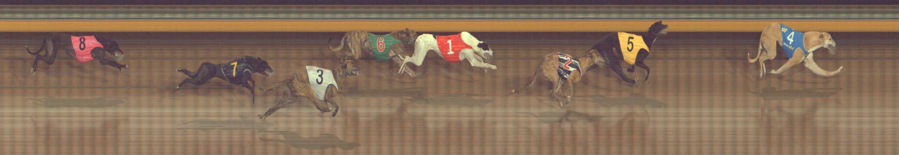 Photo finish for Bendigo Race 12