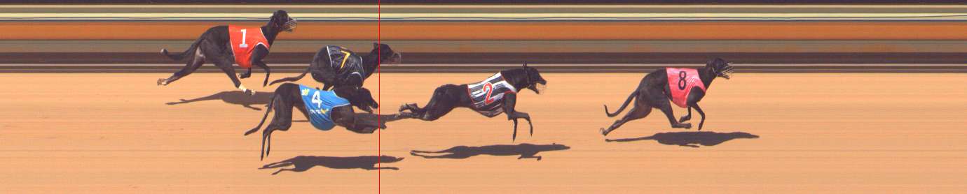 Photo finish for Bendigo Race 3