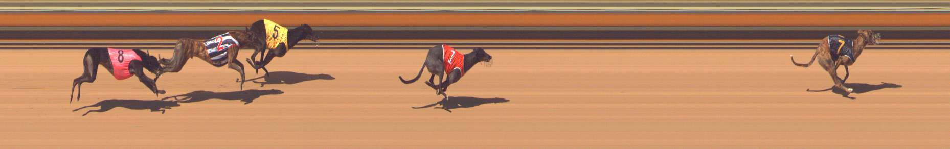 Photo finish for Bendigo Race 4