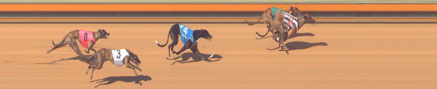 Photo finish for Bendigo Race 6