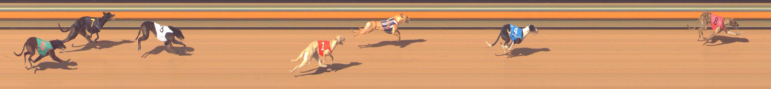 Photo finish for Bendigo Race 7