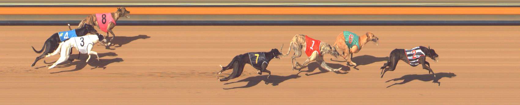 Photo finish for Bendigo Race 8