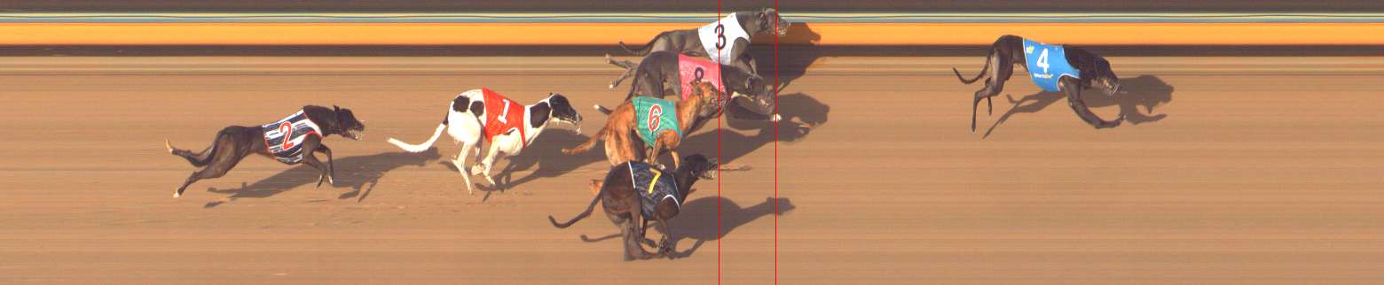 Photo finish for Bendigo Race 12
