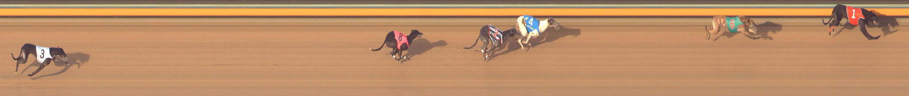 Photo finish for Bendigo Race 13