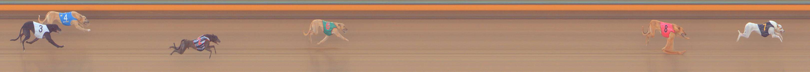 Race result finish photo