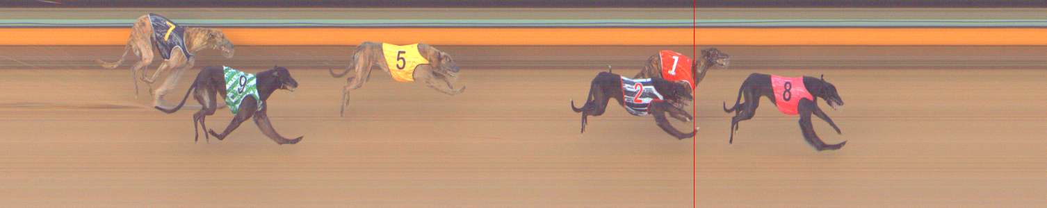 Photo finish for Bendigo Race 2