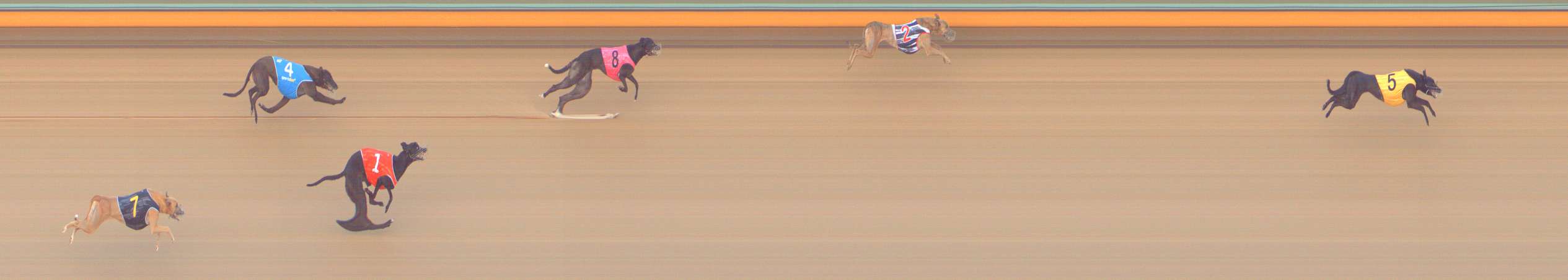 Photo finish for Bendigo Race 3