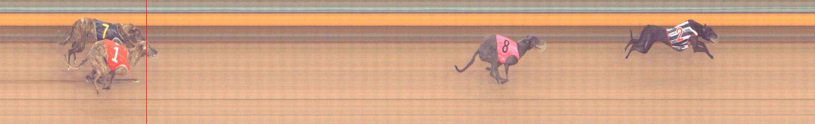 Photo finish for Bendigo Race 4